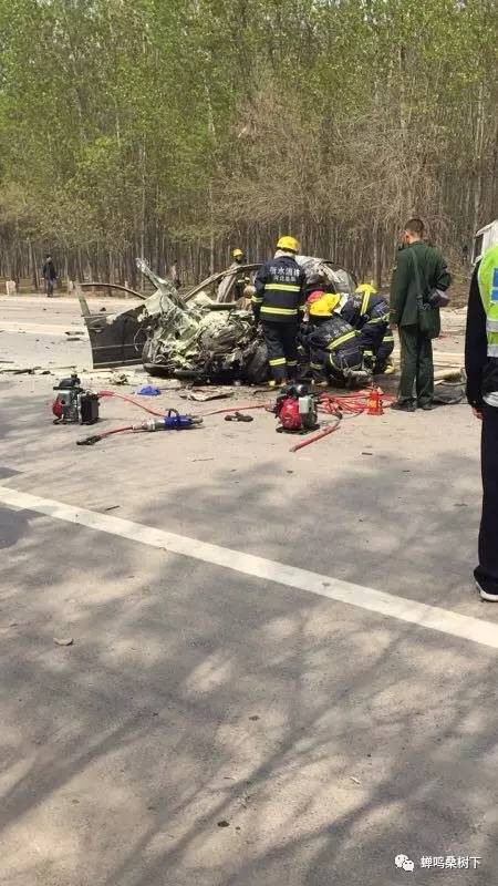 衡水車禍最新消息，事故深度分析與反思