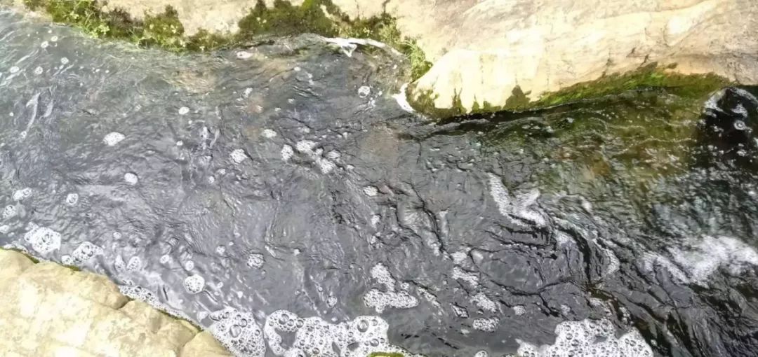 羅平板橋水怪最新動態，神秘現象的最新解讀與探索