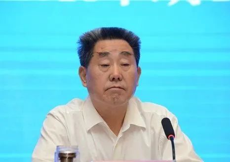 河南人大常委會原副主任劉滿倉被查，事件深度解析與觀點論述