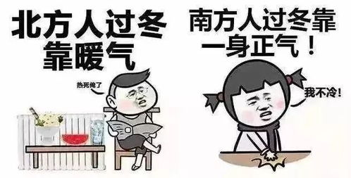 斷崖式冷空氣來襲，挑戰中的斗志燃燒與成長之路