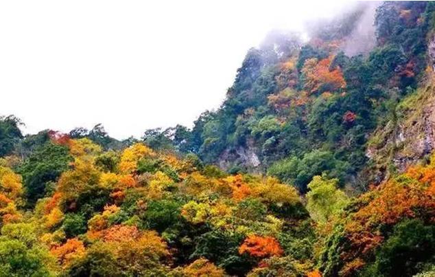成都拆遷補貼20萬內(nèi)，手握資金開啟自然美景探索之旅