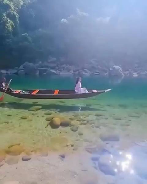 最新浮力網，自然美景之旅，探尋內心平靜與愉悅的旅程