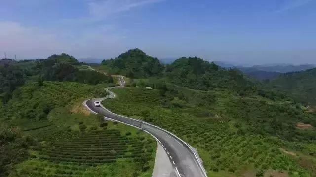 合縱科技最新動態(tài)，自然美景探索之旅的心靈洗禮與重生
