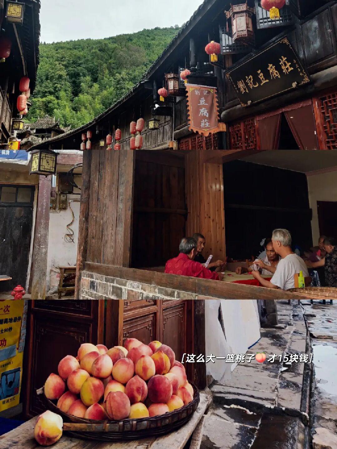 神話組合最新動態(tài)，自然美景之旅的呼喚