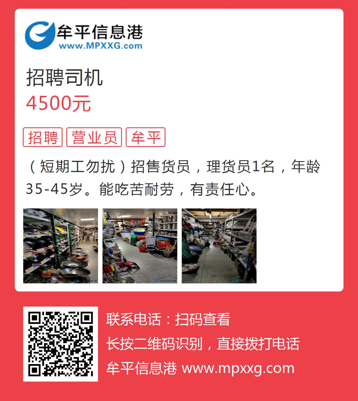 平原最新信息港招工，友情、夢想與家的溫馨交匯點