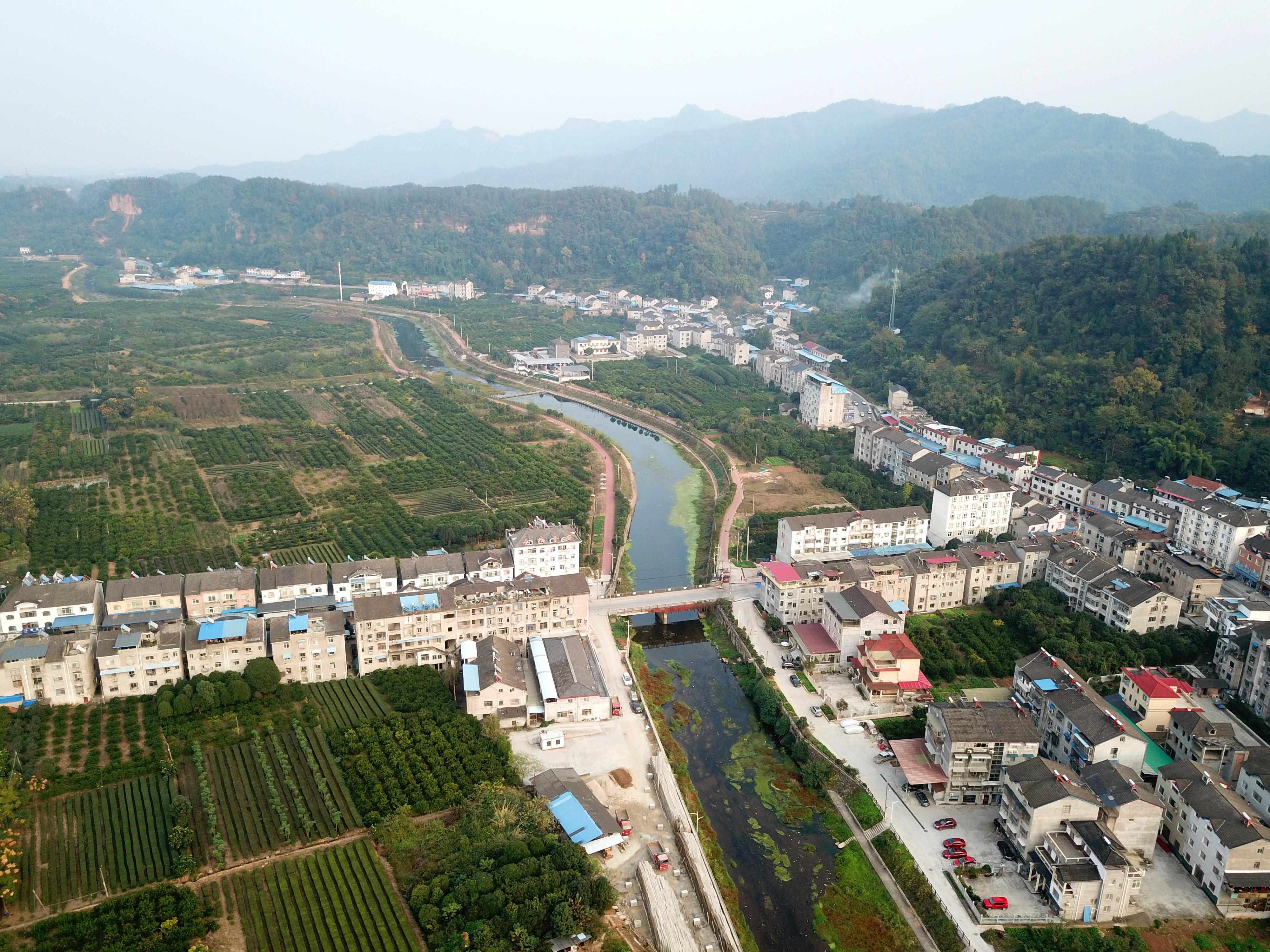 湖北玉米價(jià)格最新行情及分析概覽