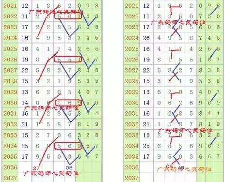 自然美景的心靈之旅，最新開獎大廳結果揭秘