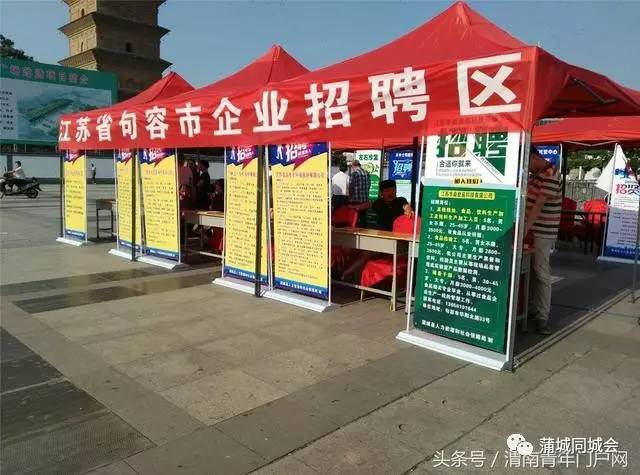 蒲城縣最新招聘信息今日發(fā)布，小巷深處的職業(yè)機(jī)遇