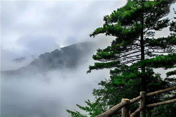 林云最新章節，自然美景的邂逅與內心平和之旅免費閱讀