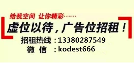 莒縣司機最新招聘信息，行業現狀、個人觀點與求職指南