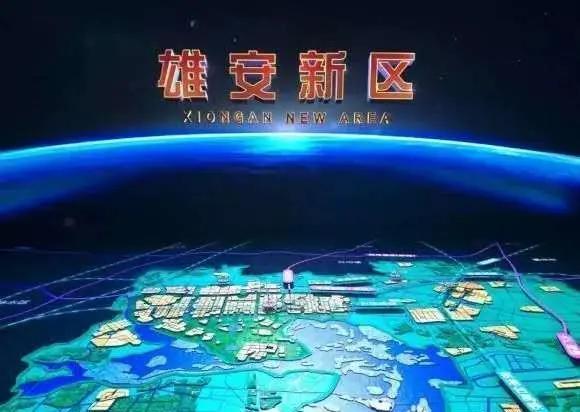 南和最新動(dòng)態(tài)更新，最新消息匯集