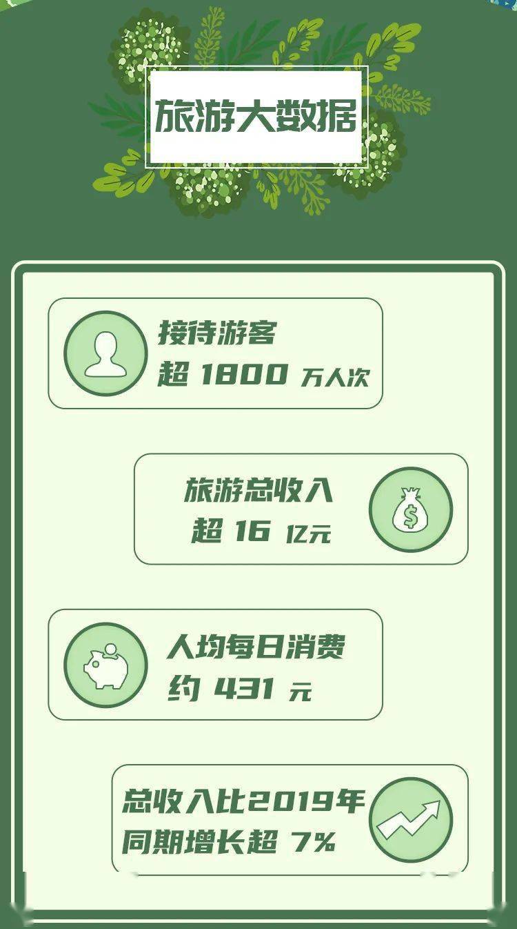 南紡股份最新動態深度分析與觀點闡述