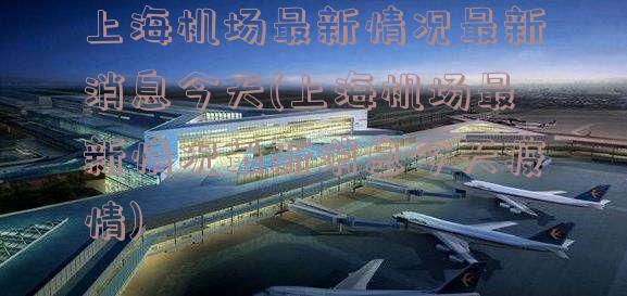 上海航班最新消息及觀點論述今日更新