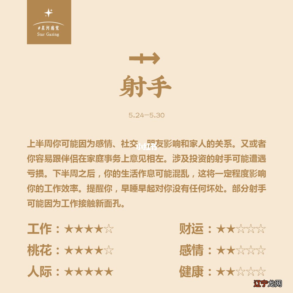 最新射手中文觀點(diǎn)闡述與深度解析