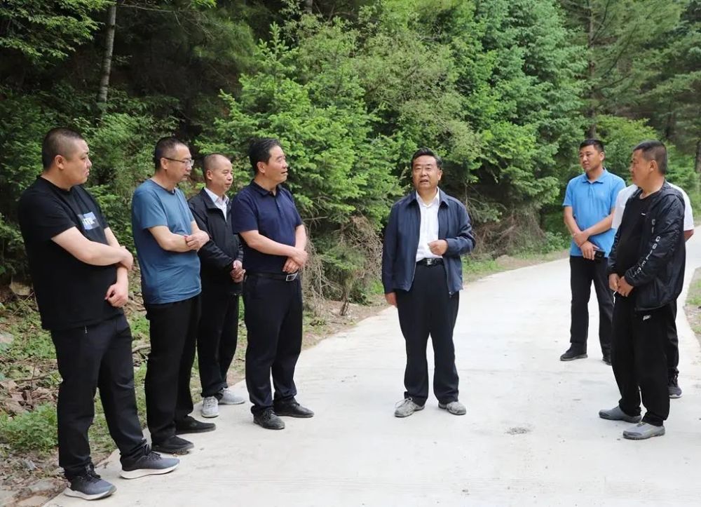 智慧樹全新指南，學習技能與任務完成步驟詳解