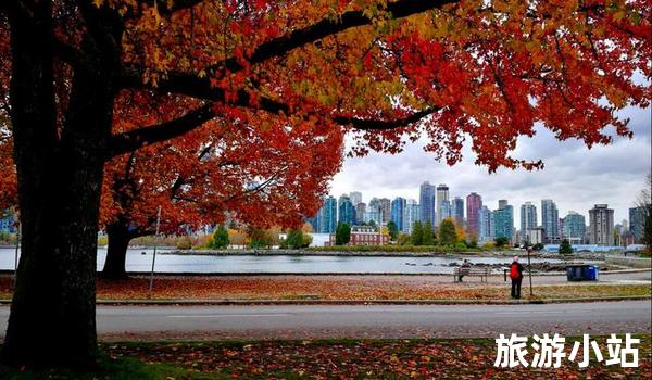 最新外匯查詢，一場自然美景的治愈之旅探索