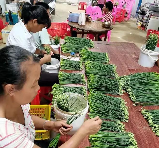 懷集冷坑最新規劃揭秘，小巷中的意外發現
