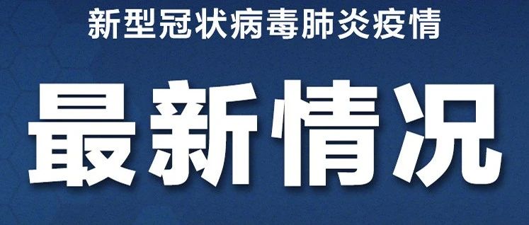 新冠疫情最新動態(tài)更新，最新消息匯總