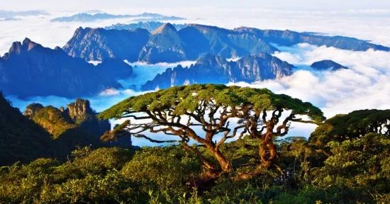 蕭崢執(zhí)掌風云最新免費閱讀,蕭崢執(zhí)掌風云，踏上一場自然美景之旅
