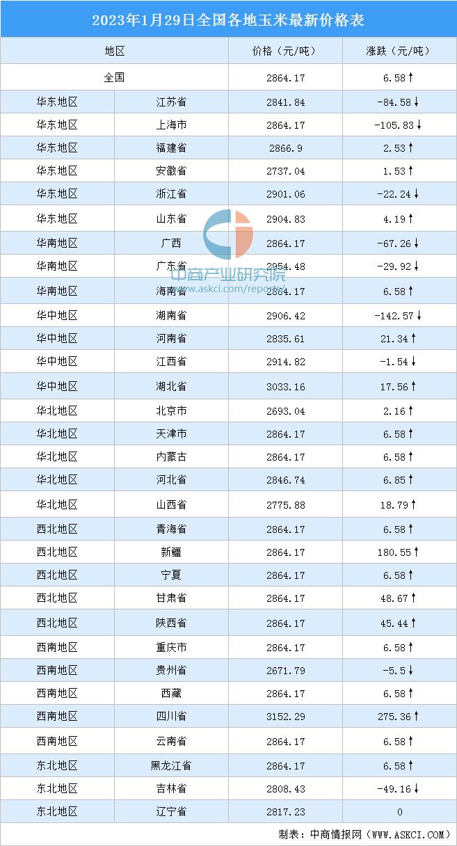 今日玉米價格最新動態，洞悉市場走勢的權威消息