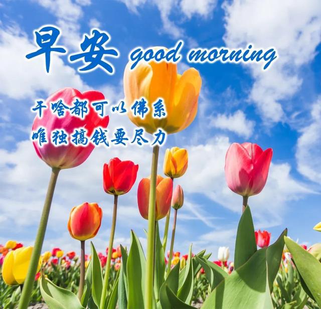 早上好最新圖片，開啟自信與成就感的旅程，探索學習變化的力量