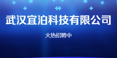 武漢最新招聘信息概覽與求職指南