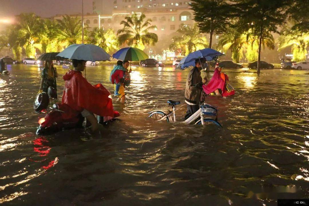 海南臺(tái)風(fēng)最新消息，臺(tái)風(fēng)下的溫馨日常