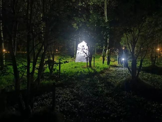 湯姆影院最新地址，自然美景的探索之旅專場