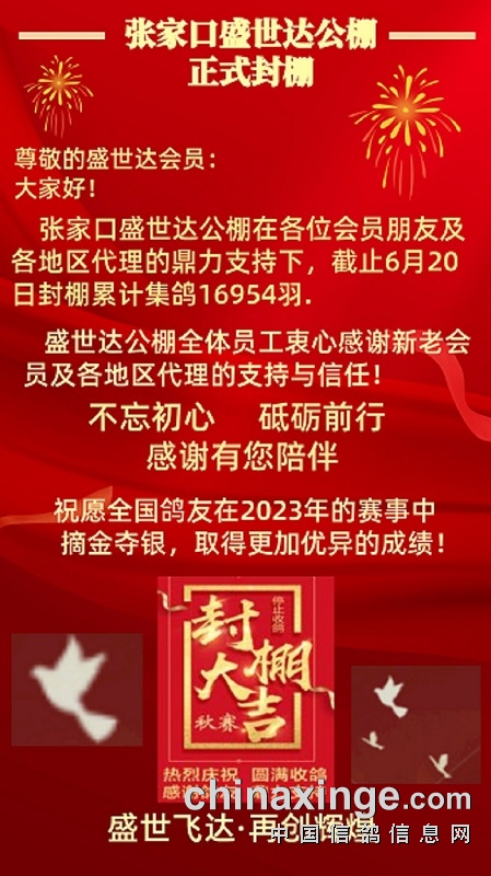 盛世達公棚啟航新征程，自信成就未來，最新公告發布