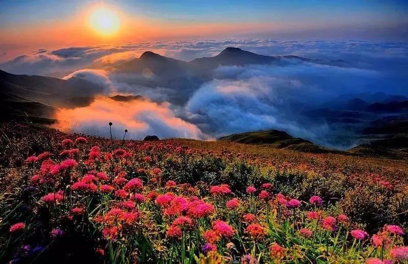 天津麗翔公棚自然美景探索之旅啟幕公告