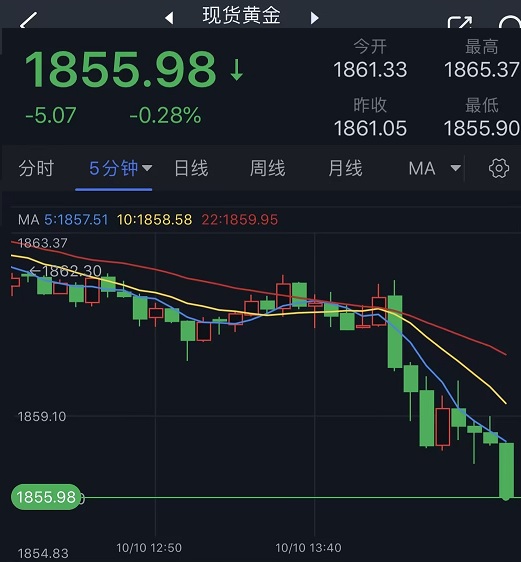 金價最新動態，市場走勢分析與觀點闡述