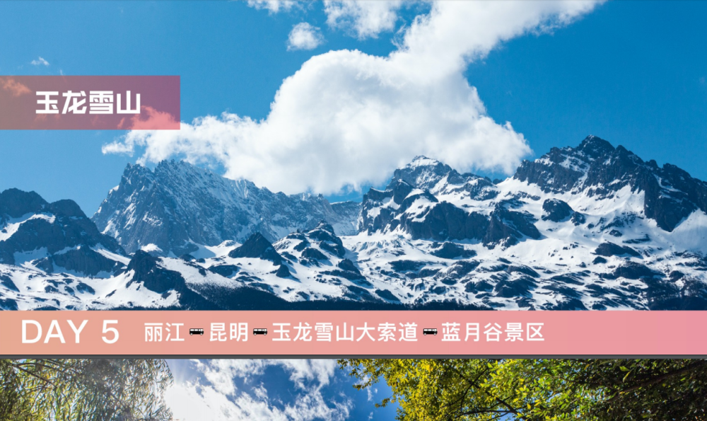 榮成最新招聘，探索自然美景，尋找內心寧靜之旅