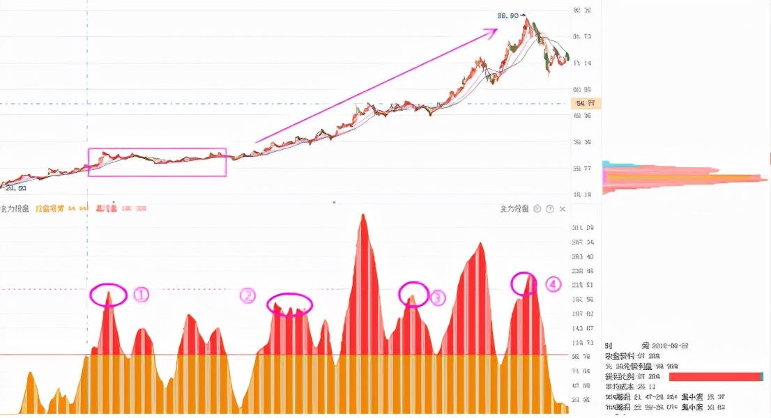 主力控盤指標公式源碼最新,主力控盤指標公式源碼背后的溫馨故事