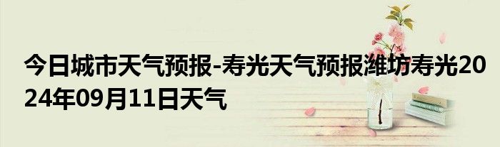 壽光最新天氣預報及獲取指南