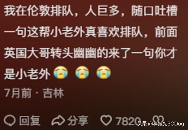中網最新動態，家的溫馨故事一網情深