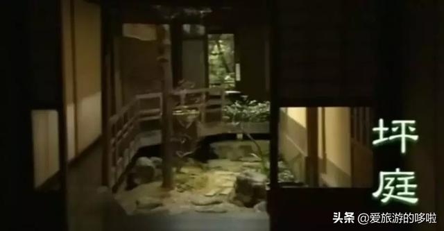 最新日本電影，小巷深處的隱藏瑰寶