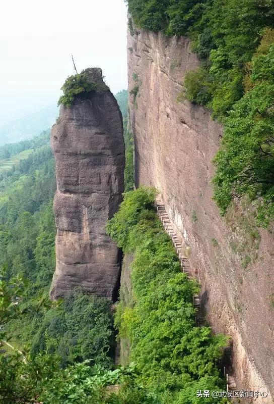 露笑科技引領自然美景探索之旅，最新消息播報