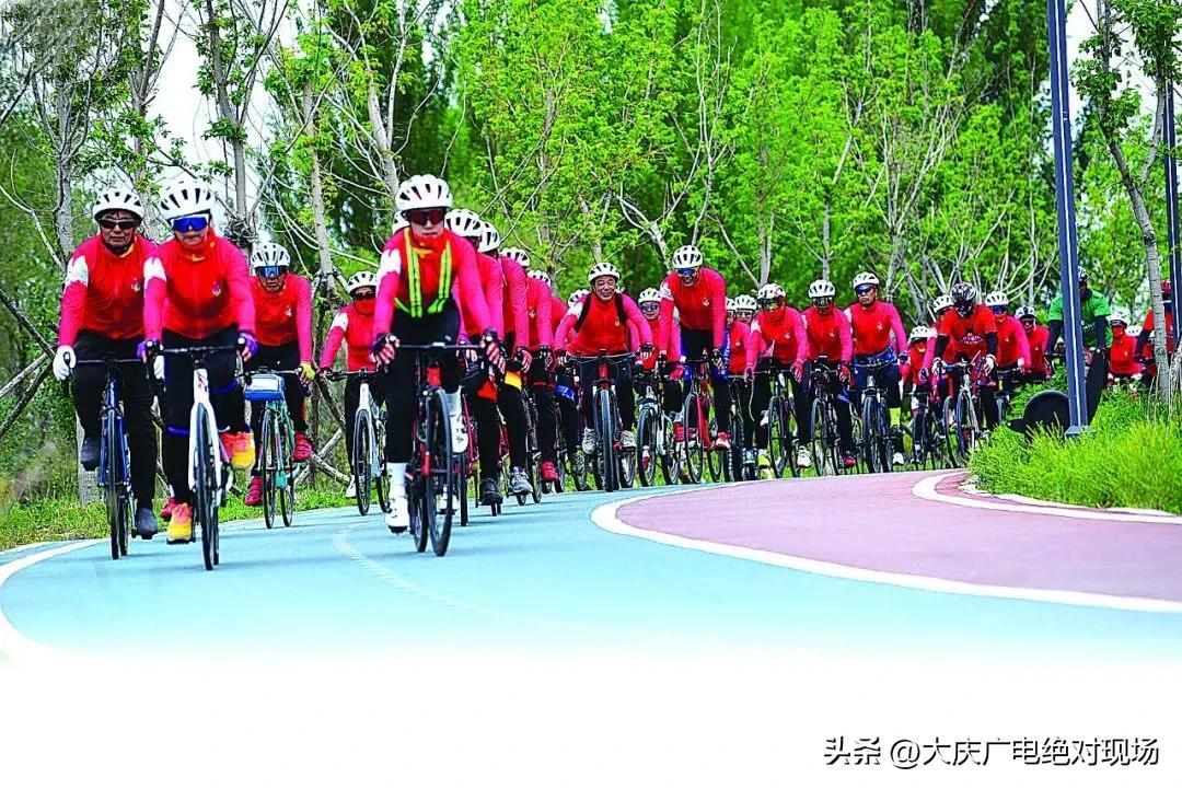 石油價格走勢圖揭秘，小巷深處的特色小店與最新市場動態(tài)