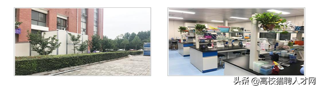 新鄉市最新招聘信息匯總與觀點論述