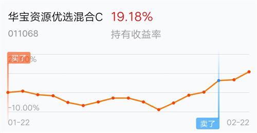今日最新凈值揭曉，探索自然美景之旅與519069基金凈值攜手探尋內心寧靜之道