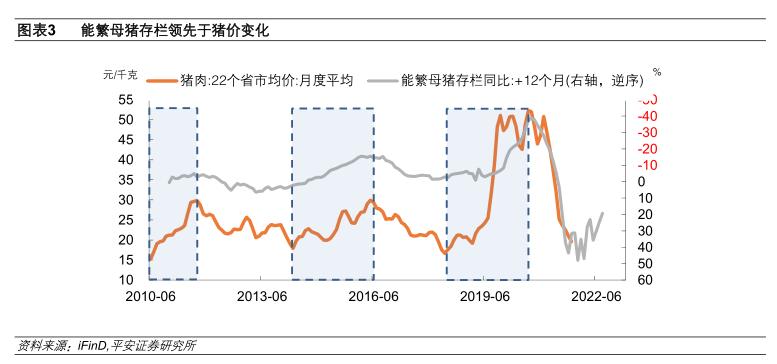 全國最新豬價分析與展望，趨勢解讀及預測報告