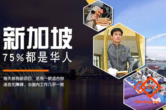 新加坡招聘網最新招聘，時代的脈搏與人才的交匯舞臺