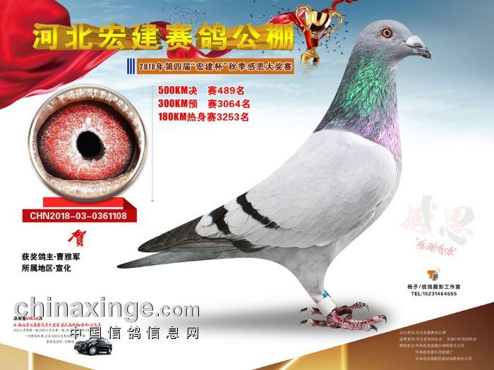 宏建公棚最新公告揭秘，小巷深處的特色小店等你來探索！