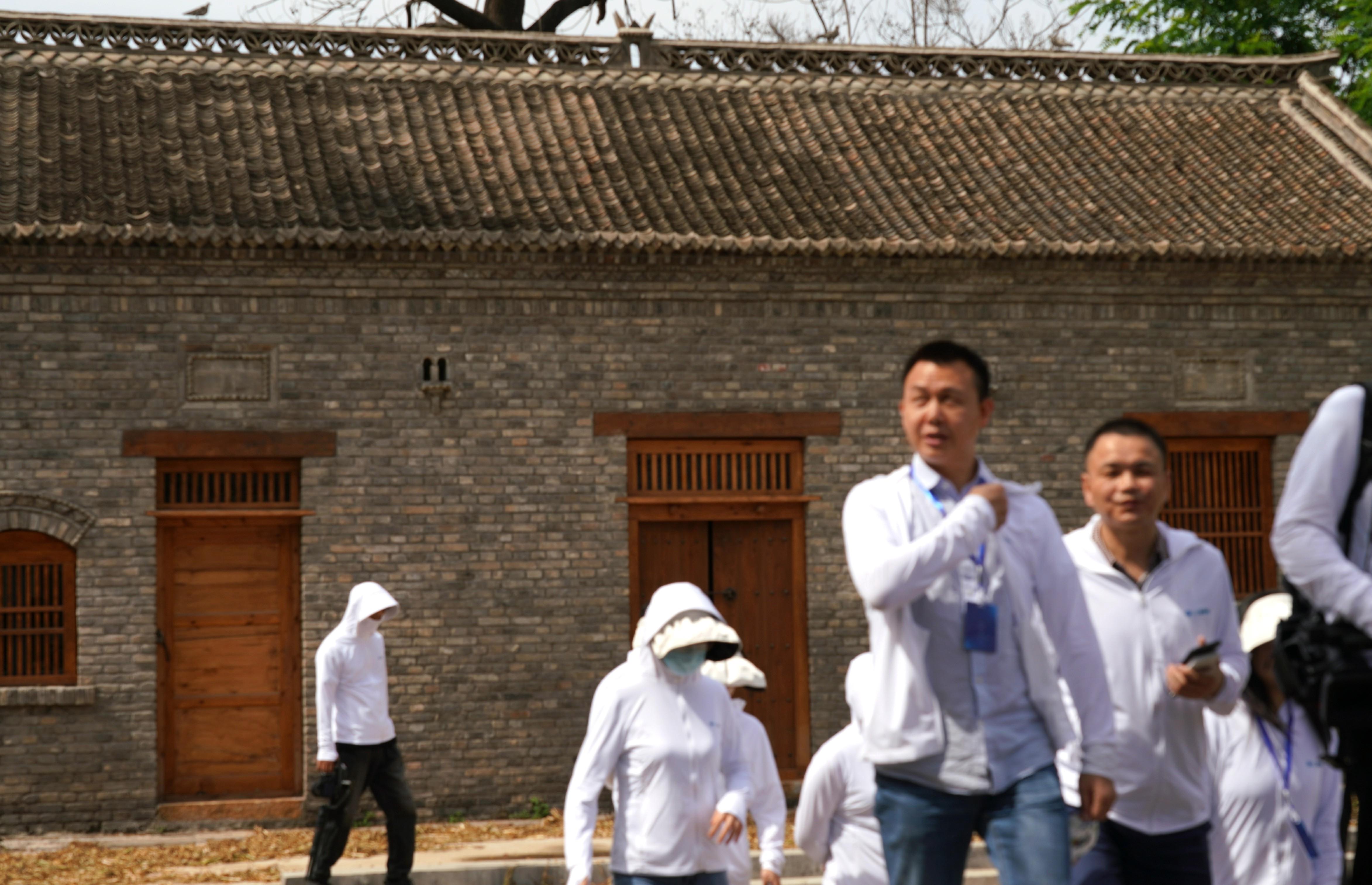 棕櫚股份最新動態揭秘，你不可不知的最新消息????