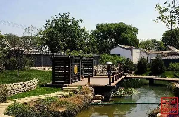 最新曳步舞與自然美景的親密之旅，尋找內心的平和舞步