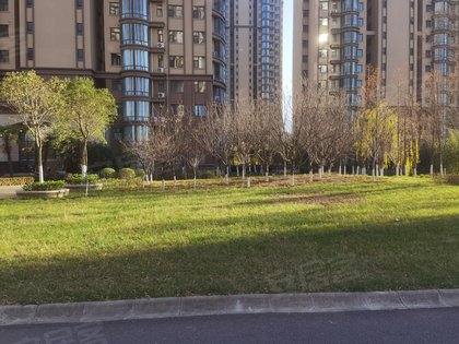 力合伊水苑最新房價揭秘，小巷深處的驚喜探索之旅