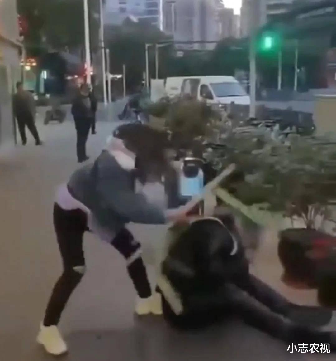 上海交警打人事件最新進展概述