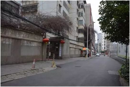 李依芮最新消息2015，小巷深處的獨特風味探秘之旅