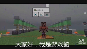 WDD世界之鉆最新動態更新