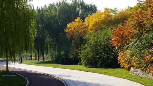 天津公共租賃住房最新動態(tài)，自然美景的探索之旅